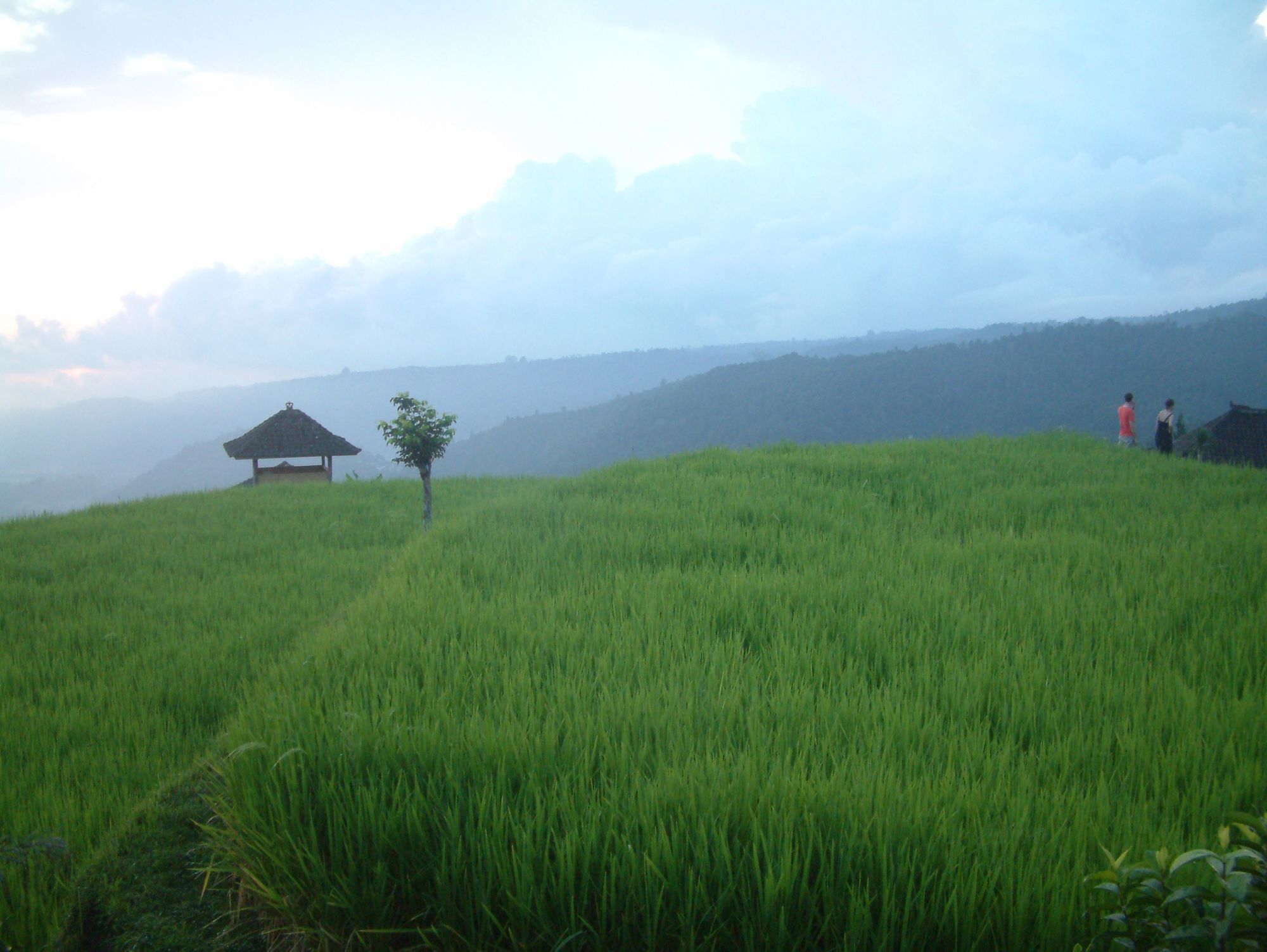 Puri Lumbung Cottages Gobleg  Kültér fotó