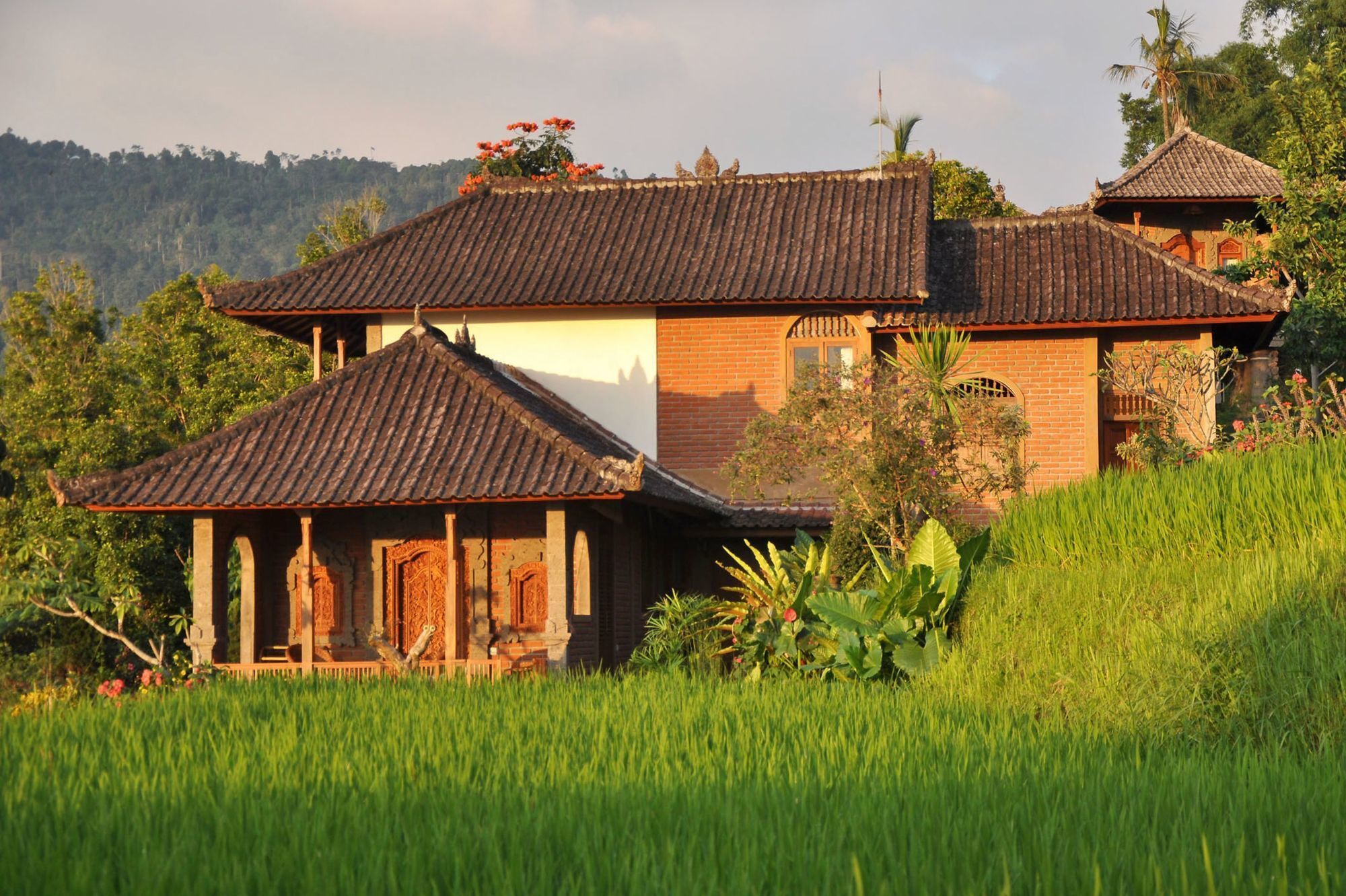 Puri Lumbung Cottages Gobleg  Kültér fotó