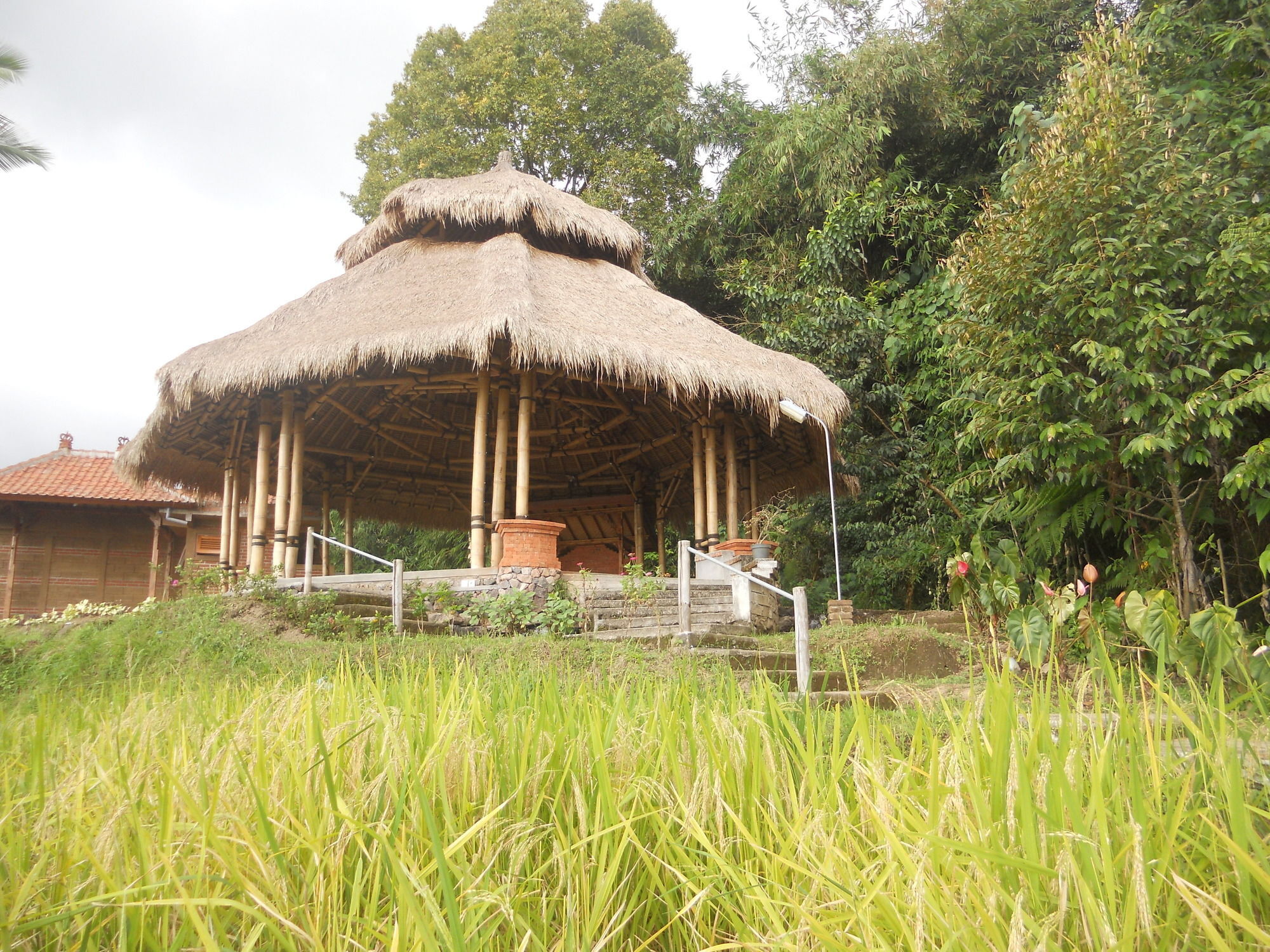 Puri Lumbung Cottages Gobleg  Kültér fotó