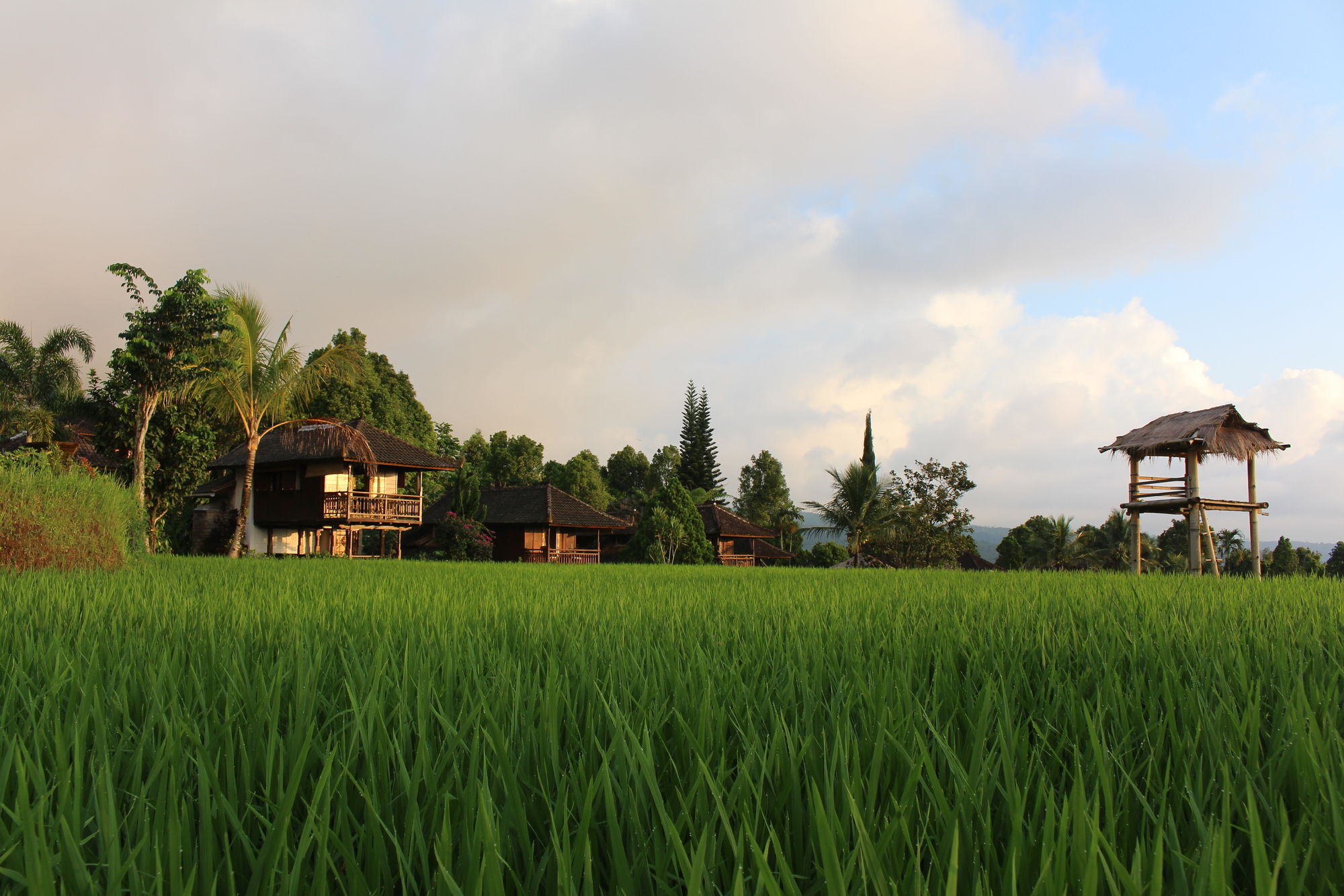 Puri Lumbung Cottages Gobleg  Kültér fotó